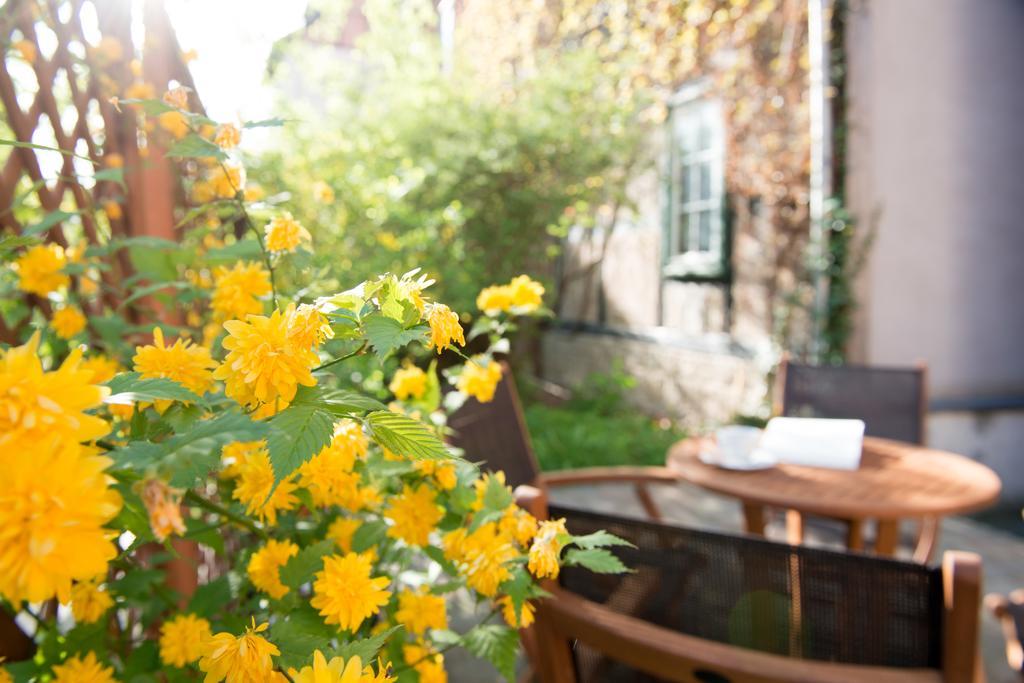 Apartmenthaus Im Stieg Quedlinburg Zewnętrze zdjęcie